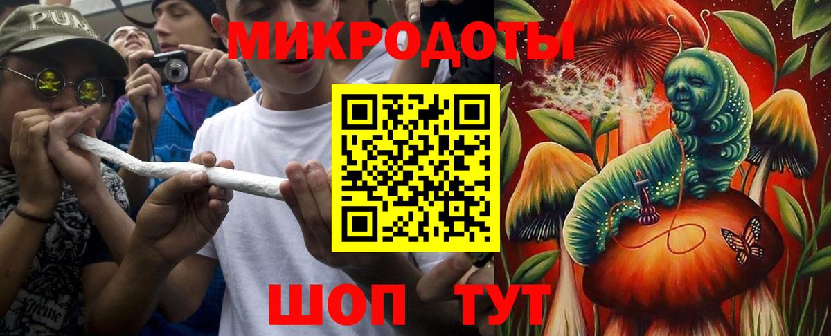 Псилоцибиновые грибы Cubensis Архангельск
